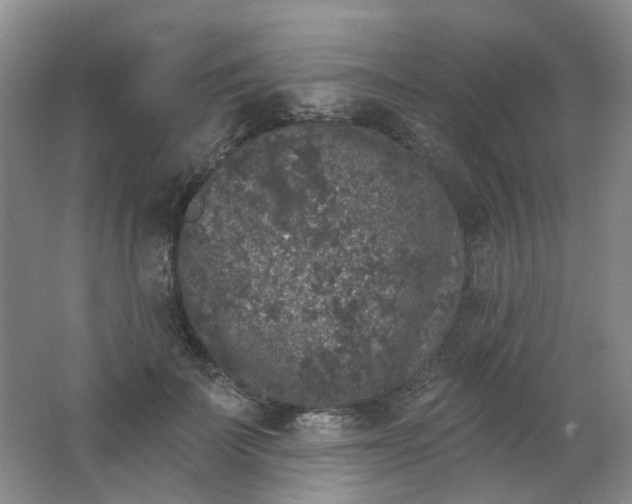 X0000062140699200512231505