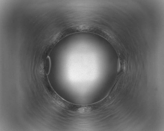 X0000062140700200512231505