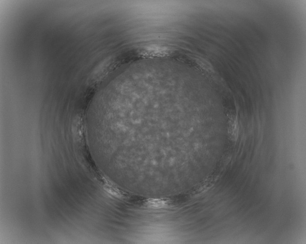 X0000062140701200512231505