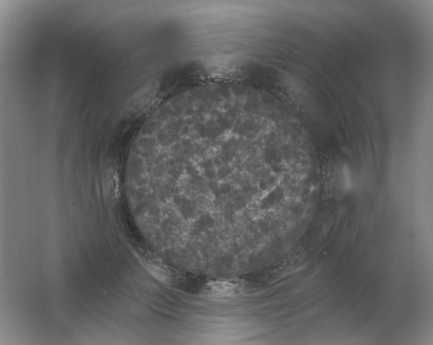 X0000062140703200512231505