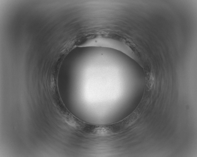 X0000062140704200512231505