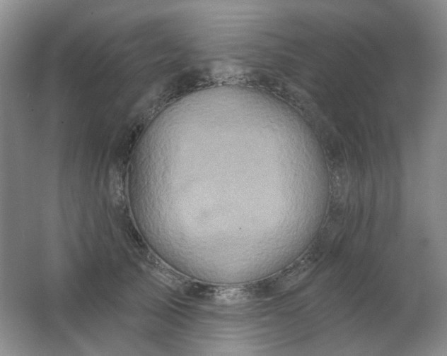 X0000062140705200512231505