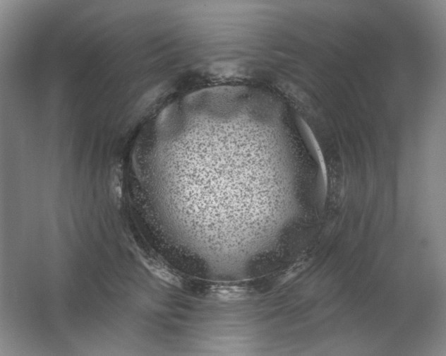 X0000062140710200512231505