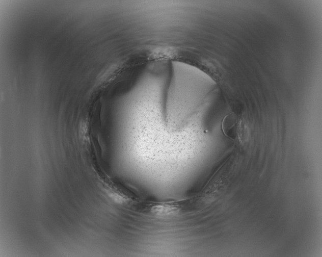 X0000062140714200512231505