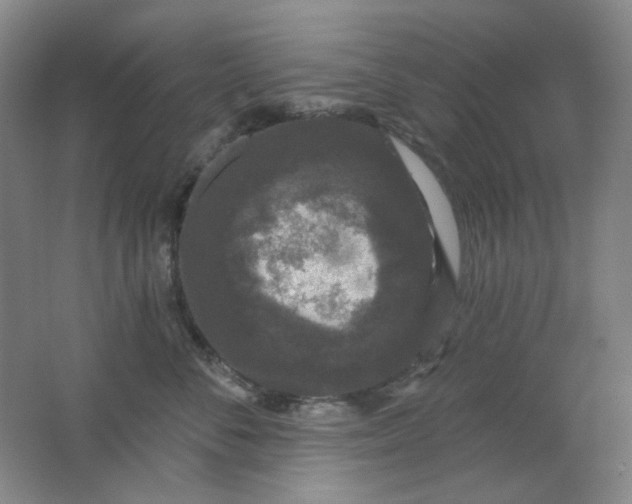 X0000062140716200512231505