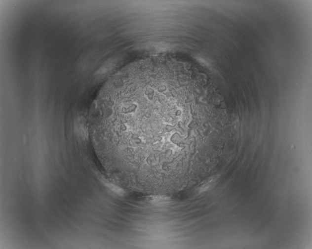 X0000062140719200512231505