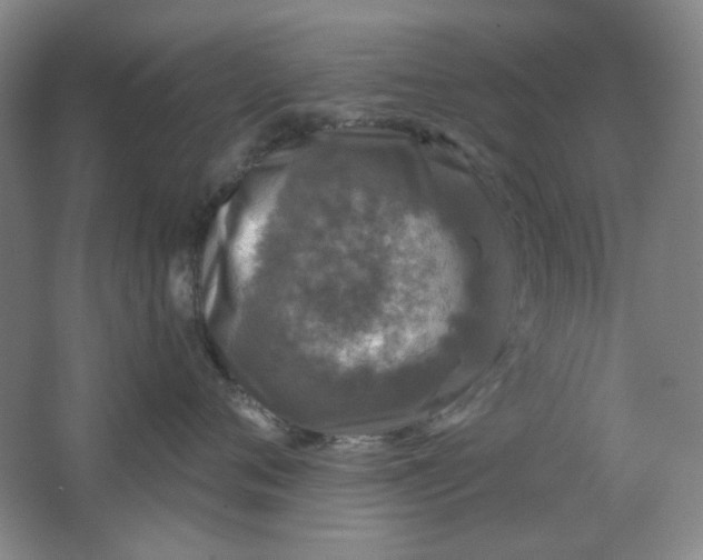 X0000062140720200512231505