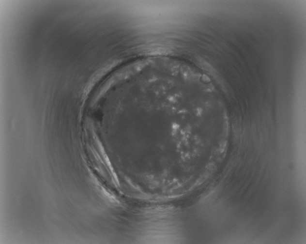 X0000062140721200512231504