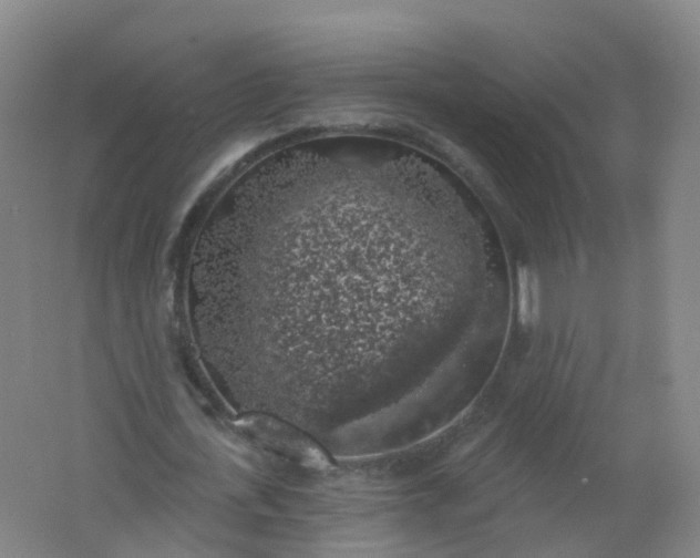 X0000062140723200512231504