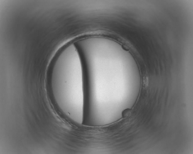 X0000062140724200512231504