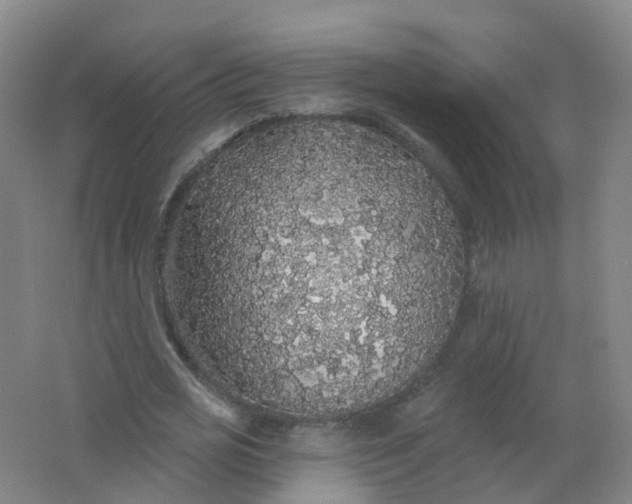 X0000062140725200512231504