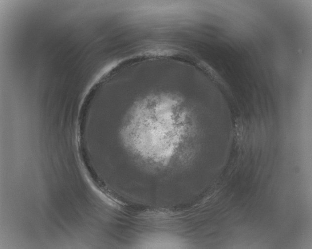 X0000062140726200512231504