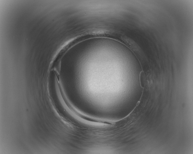 X0000062140728200512231504