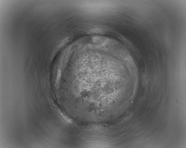 X0000062140729200512231504