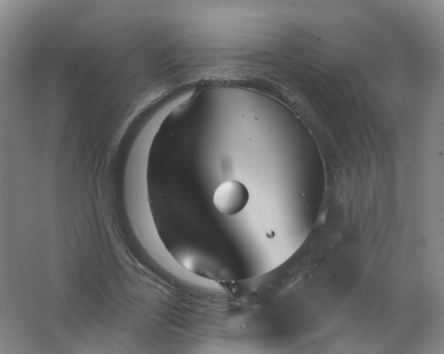 X0000062140731200512231504