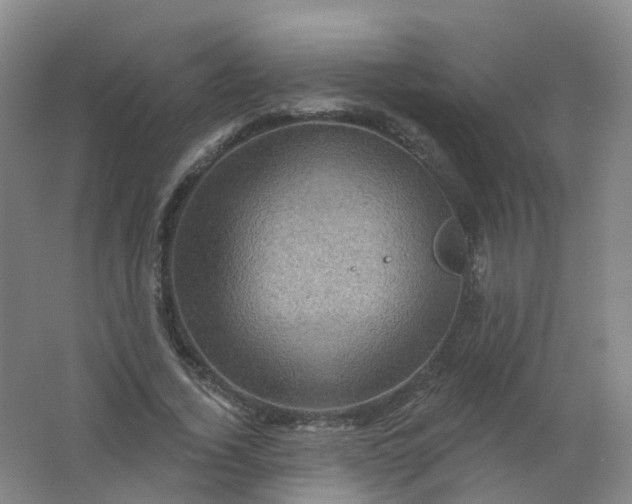 X0000062140732200512231504