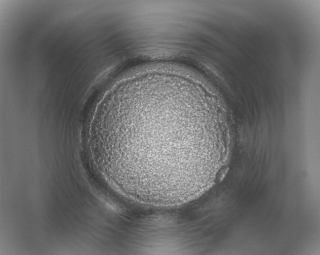 X0000062140733200512231504