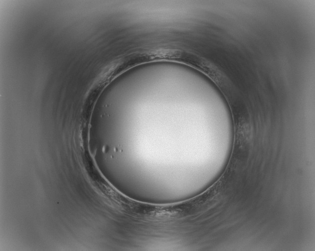 X0000062140734200512231504