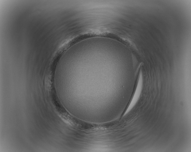 X0000062140736200512231504