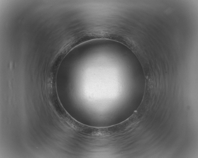 X0000062140739200512231504