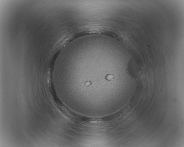 X0000062140744200512231504