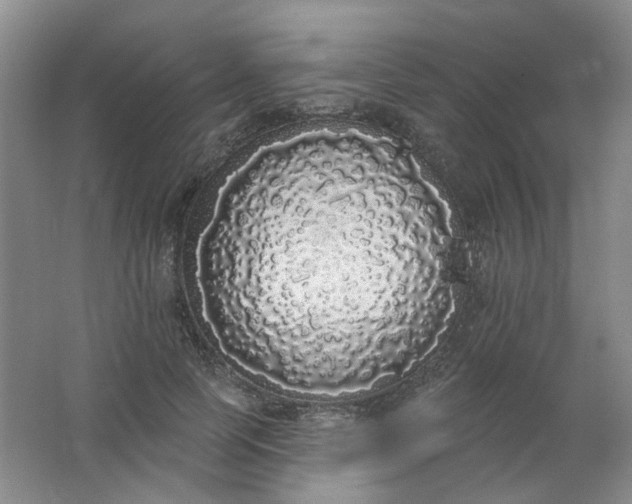 X0000062140745200512231504