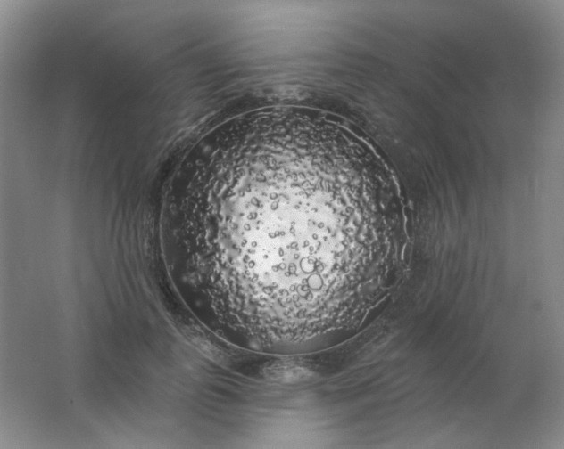 X0000062140747200512231504