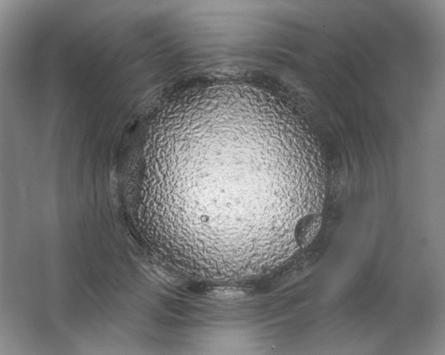 X0000062140749200512231504