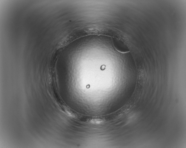 X0000062140751200512231504