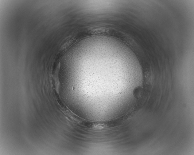 X0000062140753200512231504