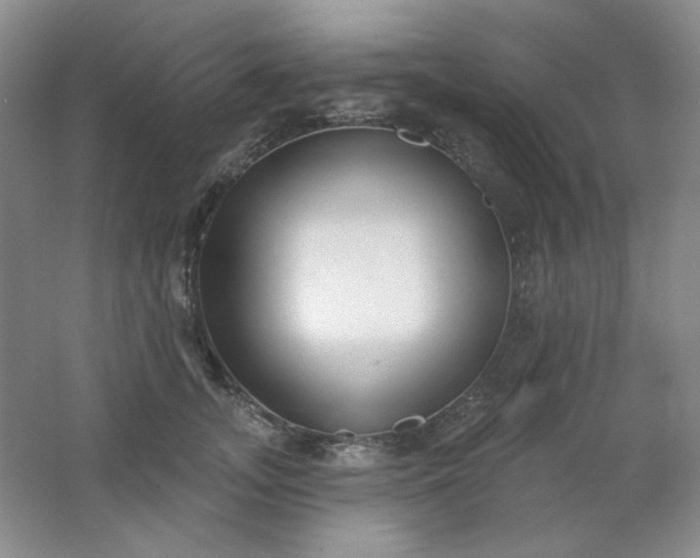 X0000062140755200512231505