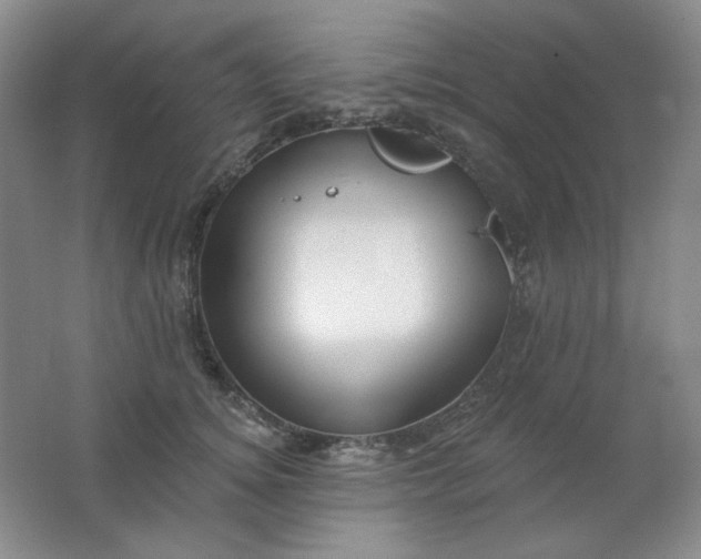 X0000062140756200512231505