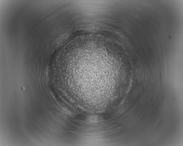 X0000062140757200512231505