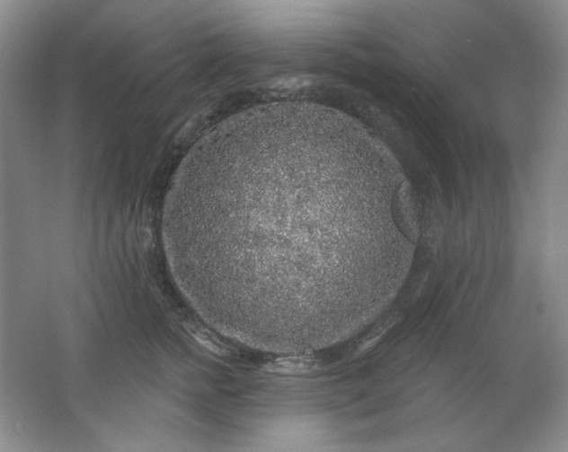 X0000062140758200512231505