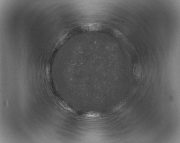 X0000062140760200512231505