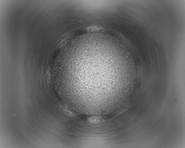 X0000062140761200512231505