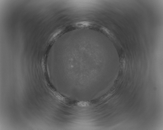 X0000062140762200512231505