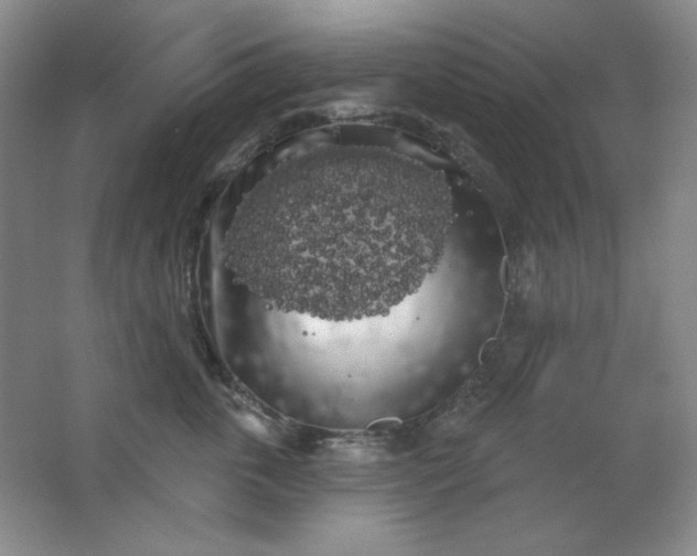 X0000062140763200512231505