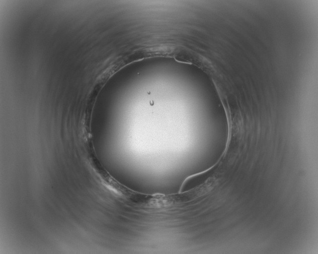 X0000062140764200512231505