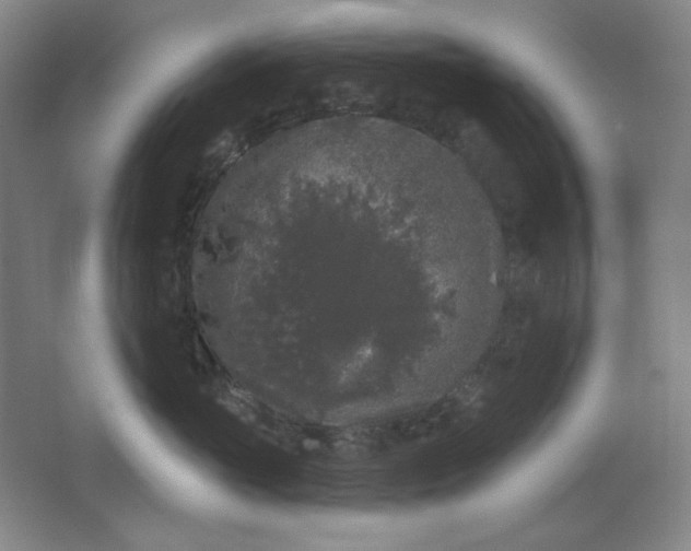 X0000062140765200512231505