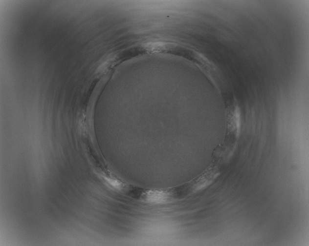 X0000062140766200512231505