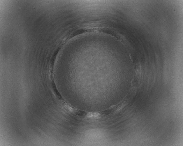 X0000062140767200512231505