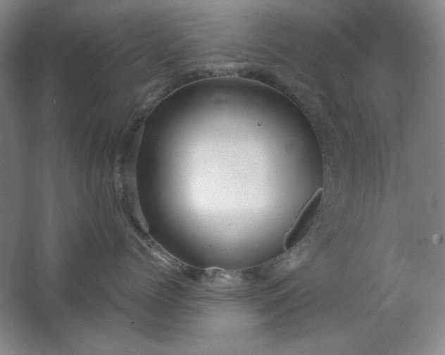 X0000062140768200512231505