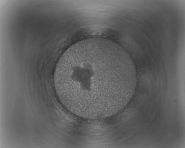 X0000062140769200512231504