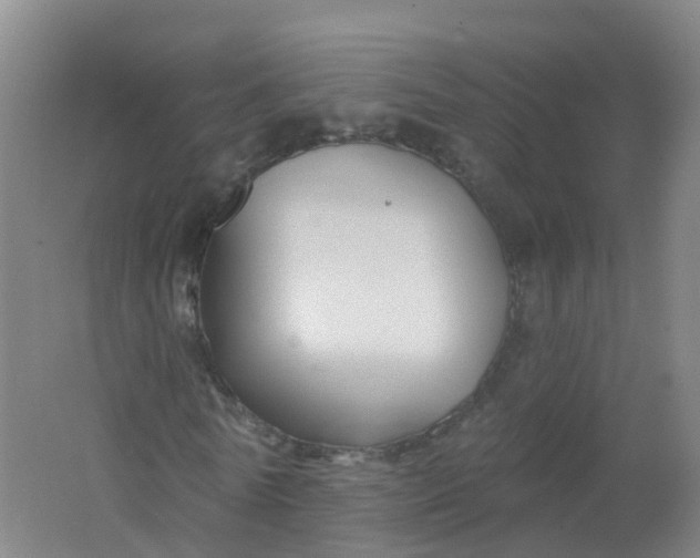 X0000062140770200512231504