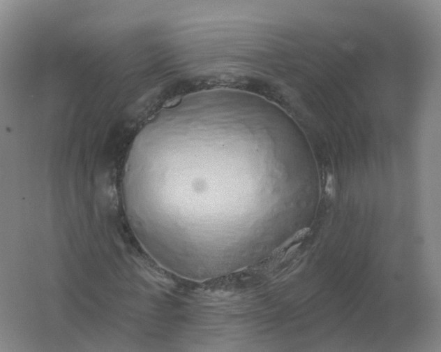 X0000062140771200512231504