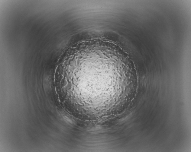 X0000062140772200512231504