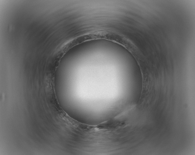 X0000062140773200512231504