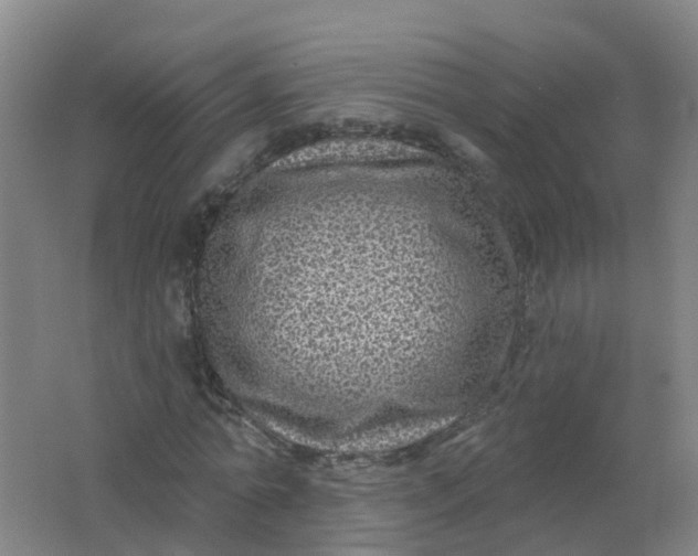 X0000062140774200512231504