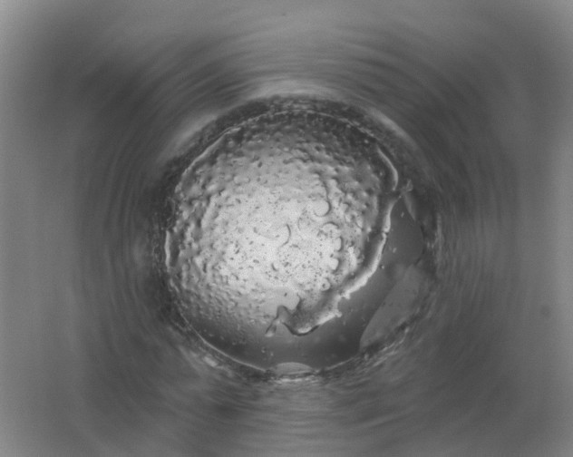 X0000062140775200512231504